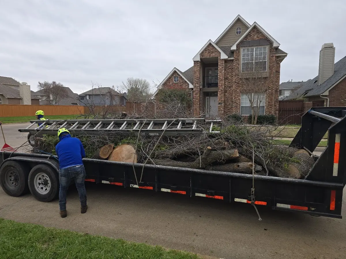 Expert Tree Pest Control with proper safety equipment in Flat Rock
